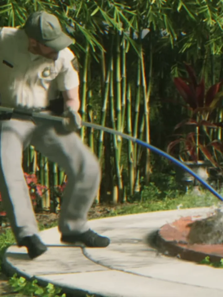 El de la piscina sorprendido por el caimán